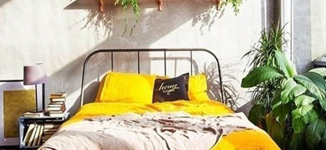 نصائح للتخلص من السموم في غرفة النوم