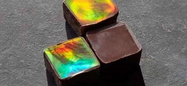 تعرف على آخر صيحات العلم في 