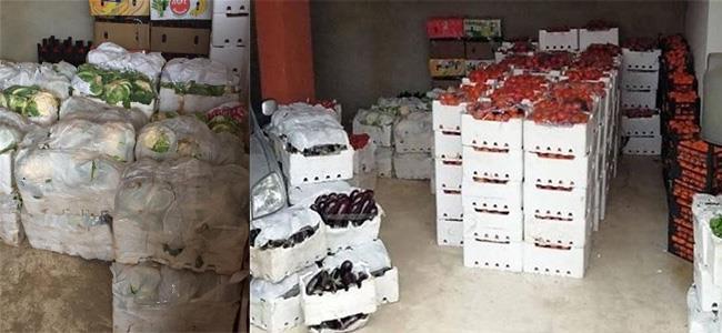  بالصور: ضبط 