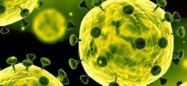 إصابة 11 راهباً بفيروس 