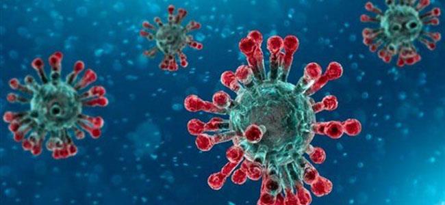 فيروس كورونا يصيب عائلةً لبنانيّة بكارثة