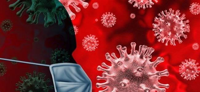  أزمة كورونا.. متى تعود الأمور إلى طبيعتها؟