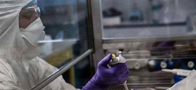 بشرى سارّة: وسيلة طبيّة لقتل فيروس كورونا