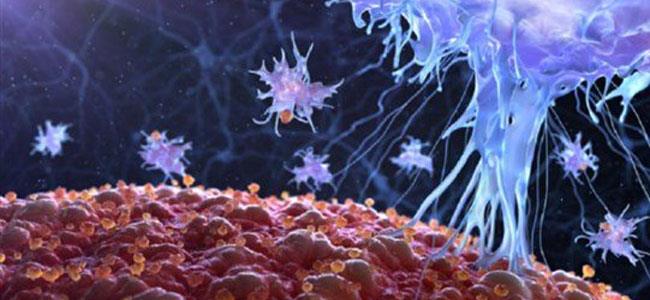 عالم فيروسات ألماني: هؤلاء يمكن أن يحظوا بمناعة ضد COVID-19