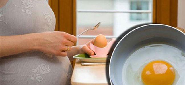 مادّة في البيض تقي الجنين من 