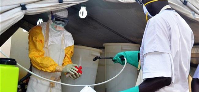 ماذا نعرف عن فيروس 