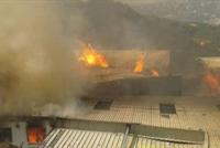 حريق معمل الكرتون في بكفيا... أُخمد كليا بعد اسبوع