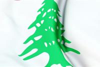 الزيادة على بدلات ايجار الأبنية المستأجرة