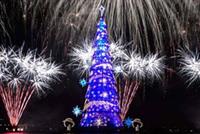 إضاءة أكبر شجرة ميلاد في العالم