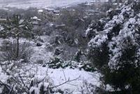 العواصف ليست كلها نسائية