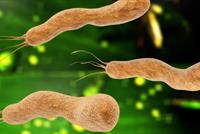 نصف العالم مصاب بهذا المرض!