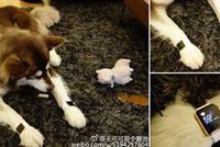 أغنى رجل في الصين يشتري ساعتي 