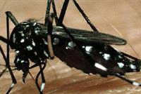 نصف سكان العالم مهدد بهذا المرض!