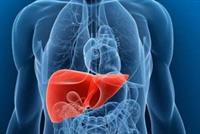 أفضل 7 أطعمة لتنظيف الكبد من السموم