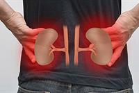  لتنظيف الكلى.. أكثروا من هذه الأطعمة!