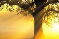 جهنم في لبنان قريباً؟ هذه توقعات الطقس..