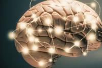 7 تنبؤات مذهلة قد تغير وجه العالم 