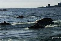  في جونية.... سيارة تسبح!