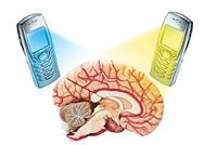 إشعاعات الأجهزة المحمولة قد تؤدي الى السرطان