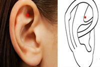 هذه النّقطة في الأذن تفتح لكم أبواب الجنّة