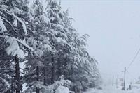  استعدّوا لشتاء قارس جداً!