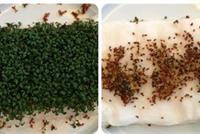  لن تجرؤ على النوم بجوار هاتفك بعد رؤية هذه الصورة المرعبة!