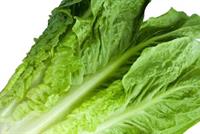 هذا ما يفعله تناول الخس بالجسم