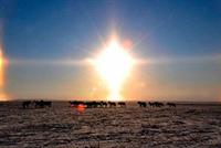 في ظاهرة فريدة... شروق 3 شموس!