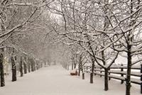  أمطار غزيرة وثلوج...كارلو آت إلينا!