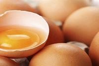 العثور على بيضة... داخل بيضة!