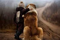 لراحة بالكم… اشتروا كلباً لأولادكم لهذا السبب