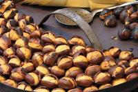 بالفيديو: أسهل طريقة لشوي الكستناء...