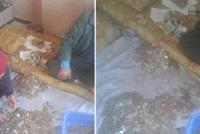  ماتت المتسولة ولن تصدقوا ماذا وجدوا في بيتها!