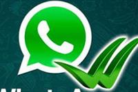  ماذا يحصل يوميا على واتساب؟