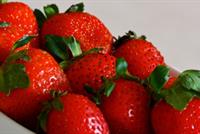 الفريز لتحسين المزاج