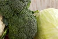 الملفوف يوقف نمو السرطان