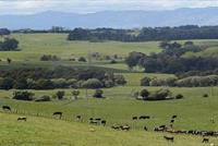 وظيفة براتب 400 ألف دولار سنويا... لا أحد يقبل بها!