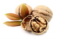 تعرف على فوائد الجوز بالنسبة للرجال