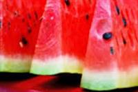 البطيخ فضحهم 