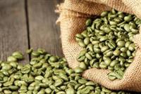 القهوة الخضراء.. ثورة العصر وحديث الساعة!