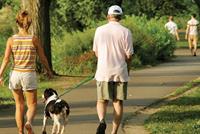 المشي يوميا يقلص خطر الوفاة مبكرا