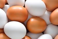 صدق أو لا تصدق.. أطعمة سيئة السمعة مفيدة للصحة