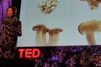 فطر يلتهم جسم الإنسان وينظفه من سموم البيئة