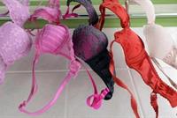 هل تسبب حمالات الصدر سرطان الثدي؟