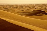  عام 2050.. اخلاء سكان شمال إفريقيا والشرق الأوسط 