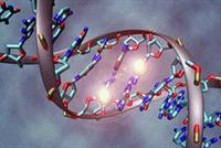 ما لا تعرفونه عن الحمض النووي