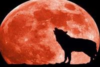  ظاهرة فلكية بدأت وفي الماضي رافقتها كارثتان عربيتان