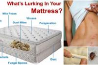 تحذير.. لا ترتبوا أسرتكم مباشرة فور استيقاظكم!