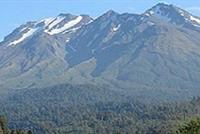 بشرى سارة لمحبي الحياة!