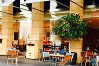 مفاجأة اللبنانيين.. لو الغبا إلو سعر!